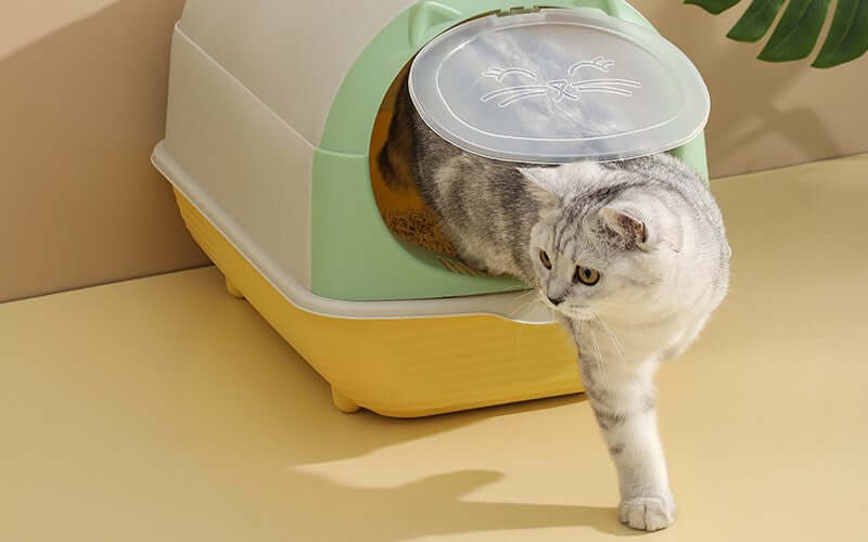 Happy Puss Enclosed Cat Litter Box – Large Covered Litter Tray with Odor Control & Easy Cleaning