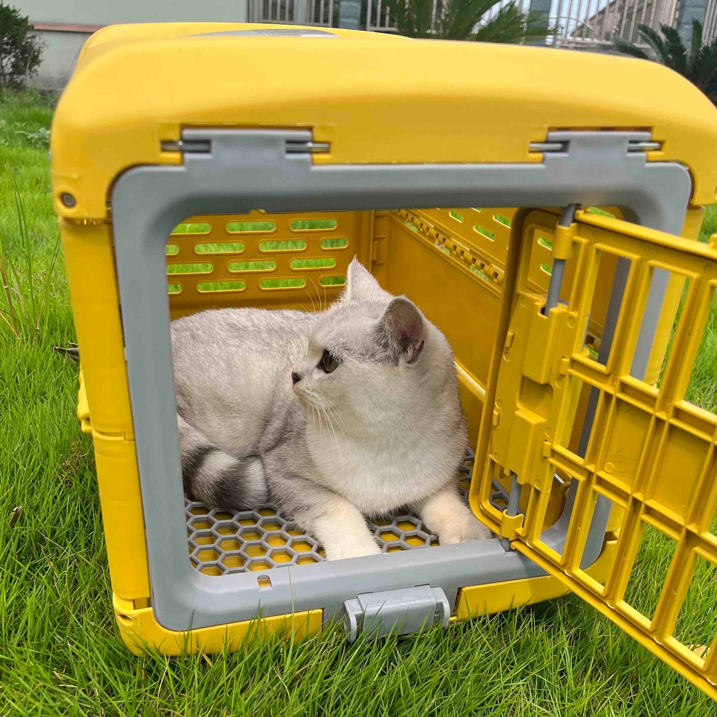 Happy Puss Collapsible Pet Carrier – Foldable Travel Crate for Cats & Dogs | Airline Approved | Free Delivery
