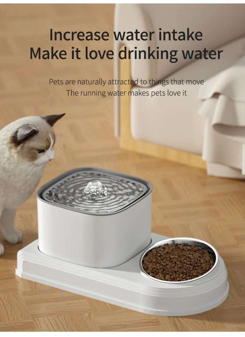 Automatic pet water dispenser 2-in-1