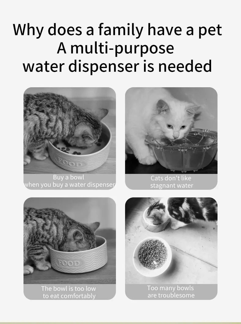 Happy Puss Automatic 2-in-1 Pet Water Fountain & Feeder – 3L Capacity | Free Delivery