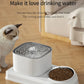 Automatic pet water dispenser  2-in-1