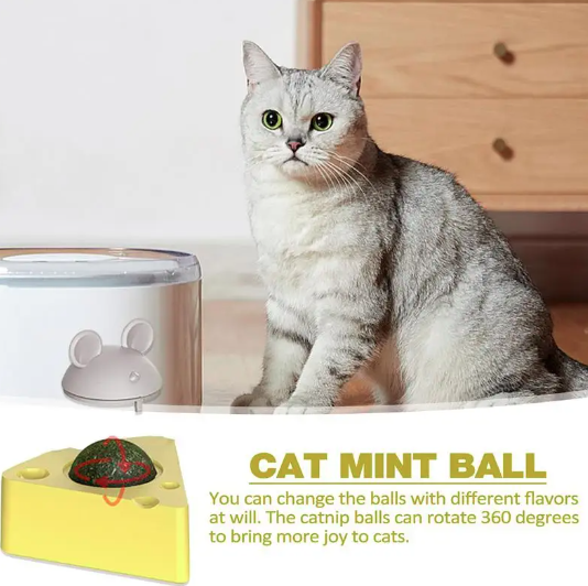 Rotating catnip balls cheese shape – Happy Puss Store