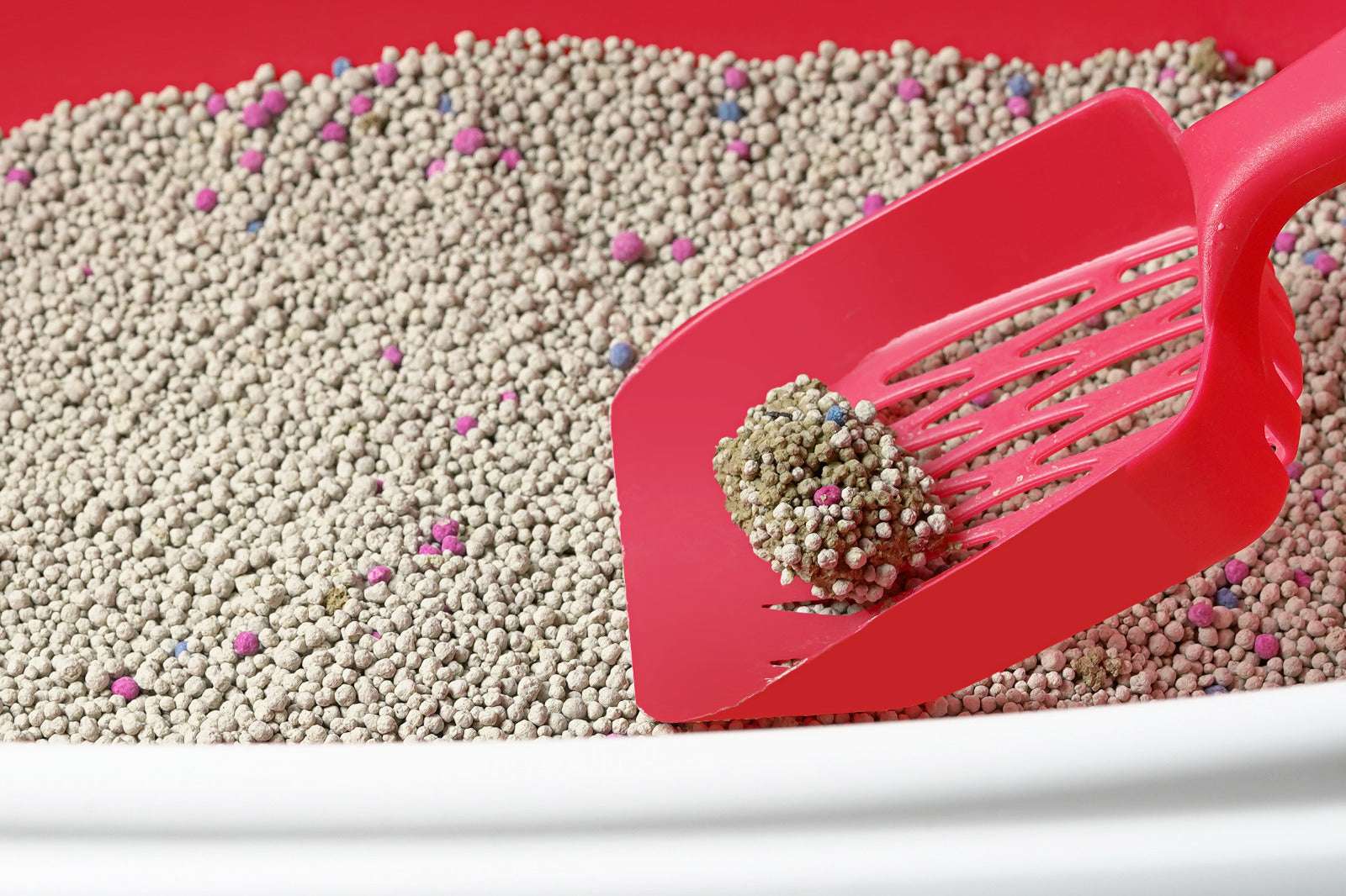 Extra clumping cat litter made from natural bentonite, high absorbency formula with strong odor control, fast clumping performance, and easy cleaning for hygienic cat litter use in UAE homes
