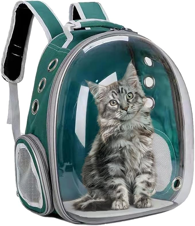 Transparent Pet Carrier Backpack-Space capsule design